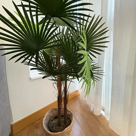 Casco Antiguo 1 * Leão