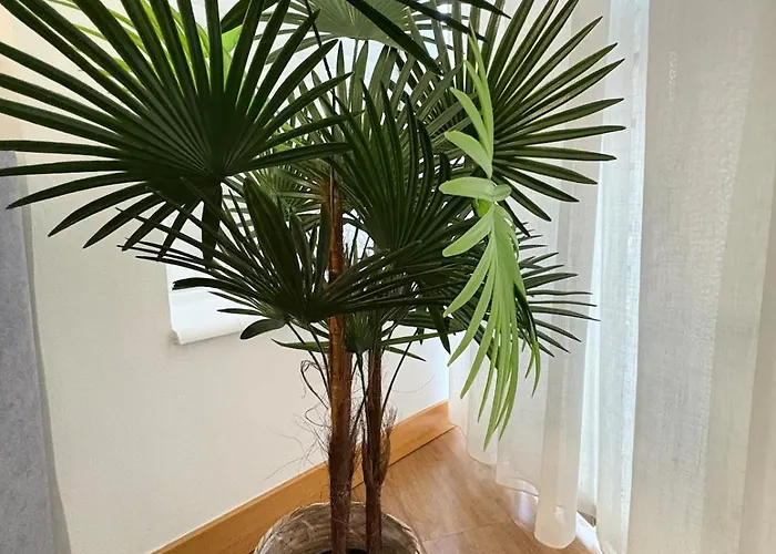 Casco Antiguo 1 * Леон